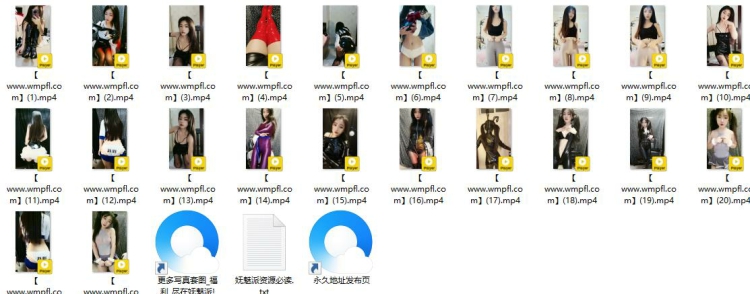 882、快手主播微胖小倔驴皮裤内衣定制热舞[22V5.29G]