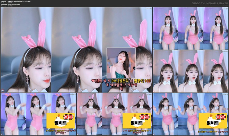 1131、AfreecaTV韩国BJ孝卡舞蹈录制合集[20v4.4G]