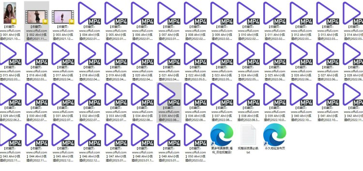 1138、B站UP主Ahri小狐狸呀精选舞蹈合集[50V7.03G]