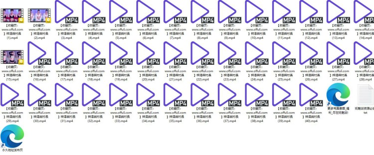 1143、Twitch香港BJ梓澪與村長精选舞蹈合集[40v5.5G]