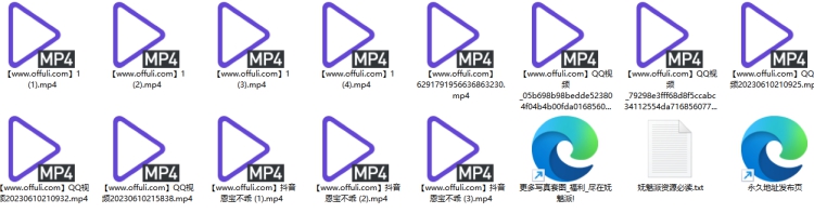 1227、抖音主播恩宝不乖飞机群定制合集13V 1.73G
