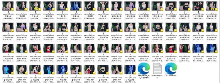 1246、时光主播洋芋(网易CC黎小胖)直播剪辑合集[58v5.1G]