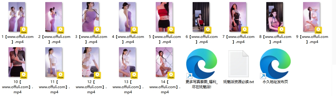 1261、B站UP主小鹿想你y精选热舞合集[14V2.2G]